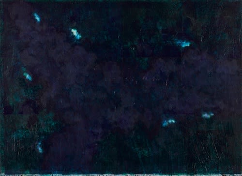 Wang Jun No 4 130 179Cm 2013 2015