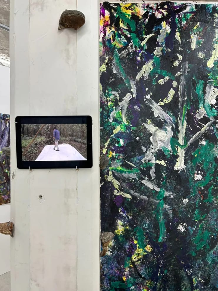 展览现场 Installation view