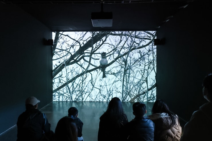 展览现场 Installation view