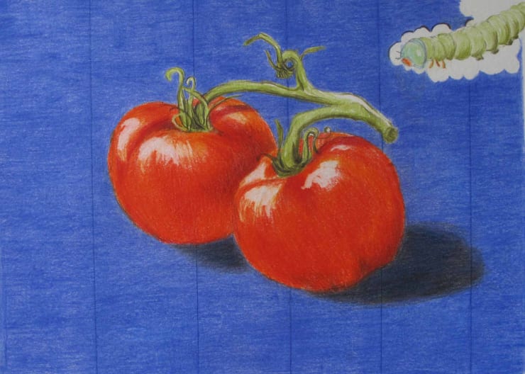 beatriXbraun, Würmli im Anmarsch, 2016