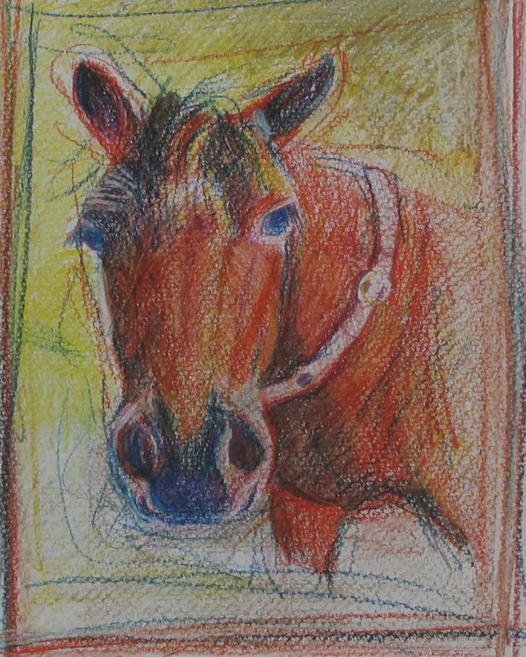 beatriXbraun, Pferdekopf, 2003