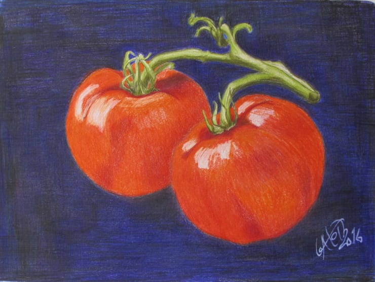 beatriXbraun, Tomaten, 2016