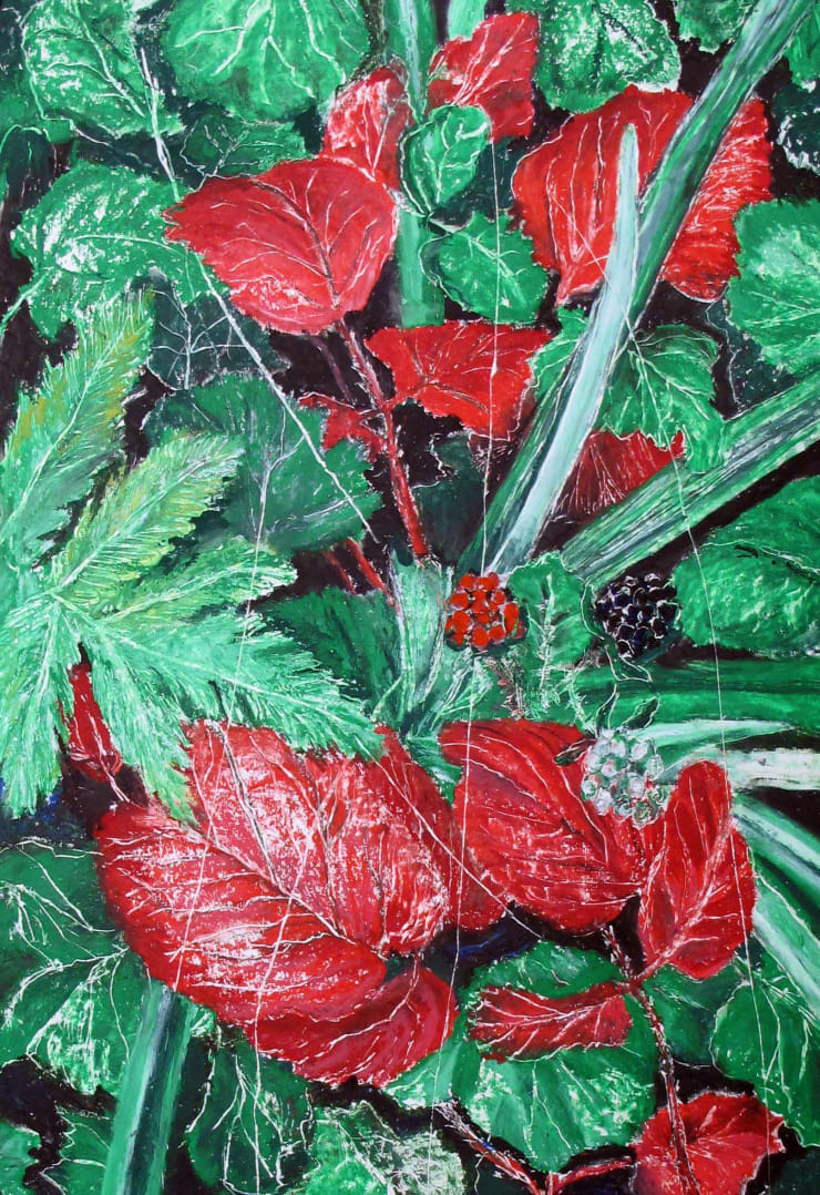 beatriXbraun, kontrastreiche Natur, 2019