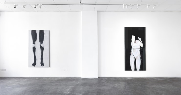 06 Web Surrogate Josef Zacek