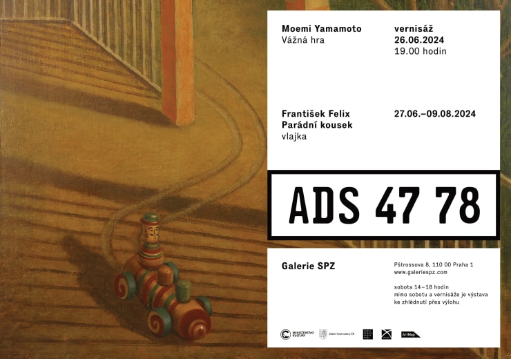 Moemi Yamamoto v SPZ Gallery