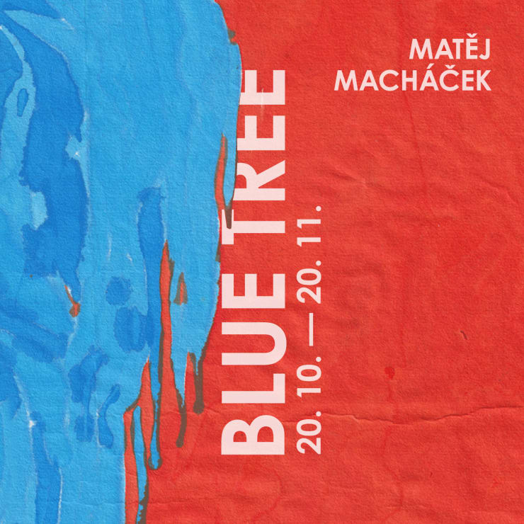 Matěj Macháček, Blue Tree