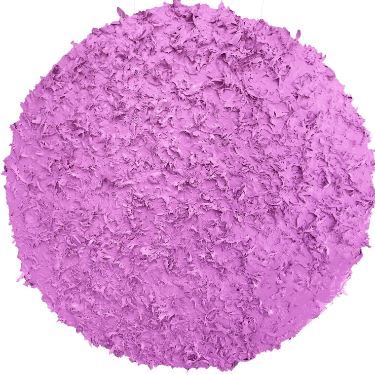 Gregory Coates, Afro Series, Tangerine, 2021