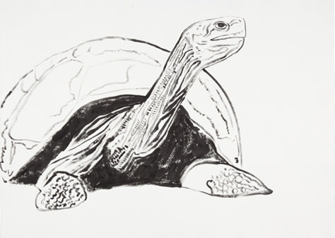 Andy Warhol, Galapagos Tortoise, from Vanishing Animals, 1986