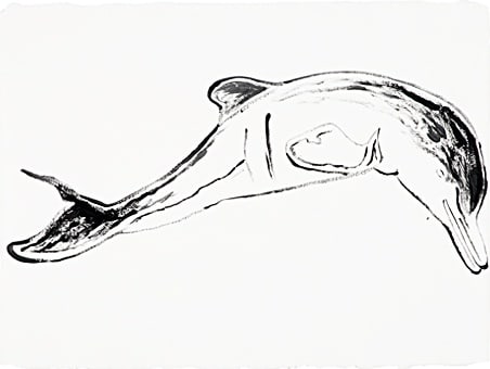 Andy Warhol, Plata River Dolphin, from Vanishing Animals, 1986