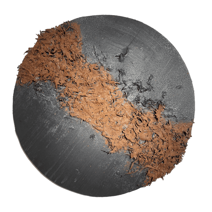 Gregory Coates, Tabasco Series, Spring Sounds, 2018