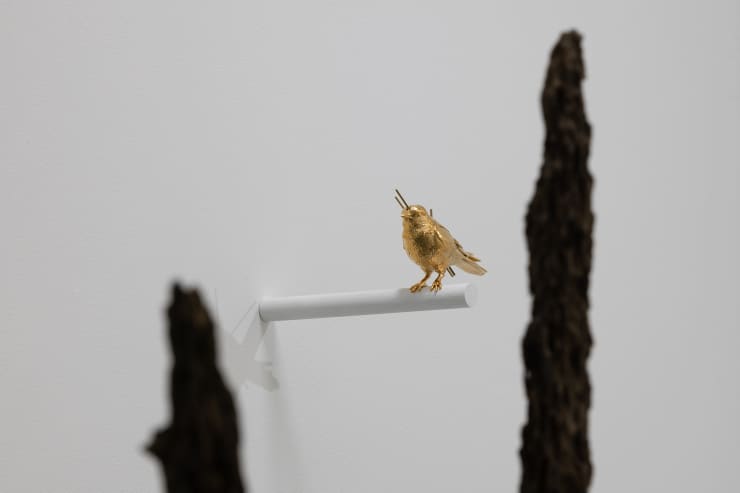 Brooke Benington Victor Lim Seaward Low Res 53