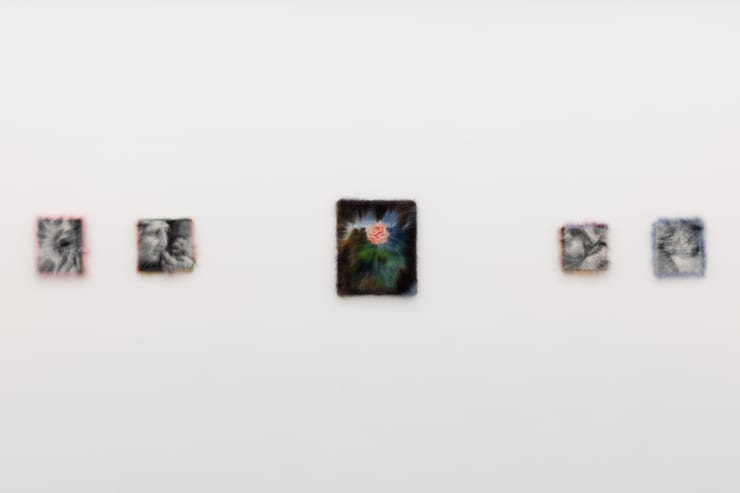 Romance Apocalypse Installation Shot 18