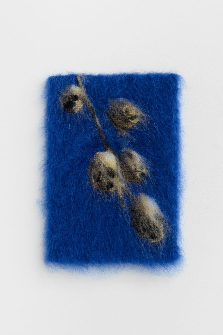 Snap Dragon I, 2023. Courtesy of the artist and Galerie Chloe Salgado.