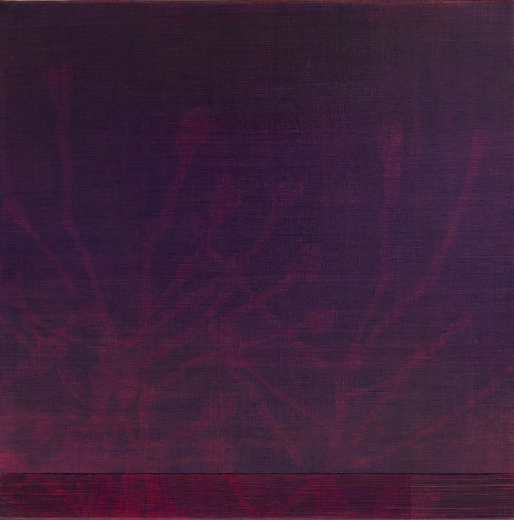 magnolia buds dark maroon oil painting