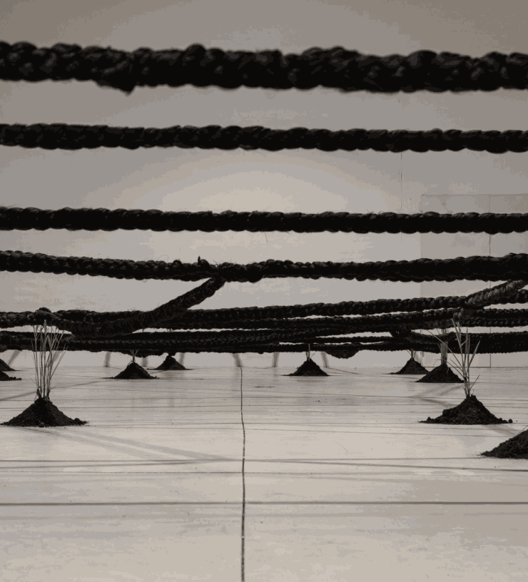 Manifesta 15 @ Barcelone, Espagne