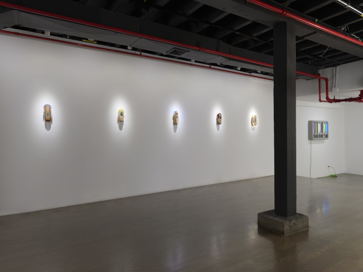 PROJECTION 007: ESTHER RUIZ, Partial Light Index