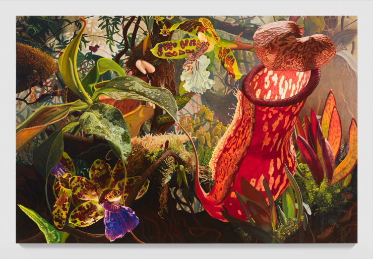 ‘I’m Truly Inside the Flower’: Why Rising Artist Kate Bickmore Is Reimagining Victorian Floral Painting