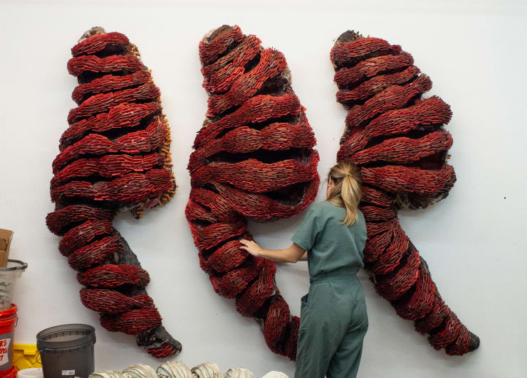 This Week in Culture: October 30 - November 5