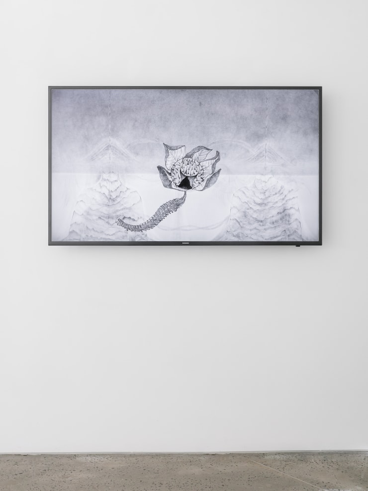 Seung Ae Lee Becoming, 2018 Installation view at Christine Park Gallery, New York Courtesy of the Artist and Christine Park Gallery © Seung Ae Lee