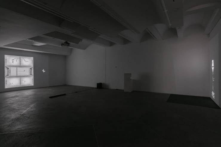 Seung Ae Lee Becoming, 2018 Installation view at Christine Park Gallery, New York Courtesy of the Artist and Christine Park Gallery © Seung Ae Lee