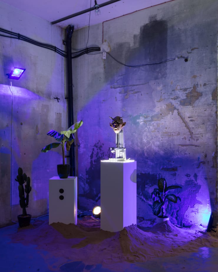 Ting Tong Chang North Indies - Pilot Installation View at Apiary Studios, London Courtesy of the Artist and Christine Park Gallery © Ting Tong Chang