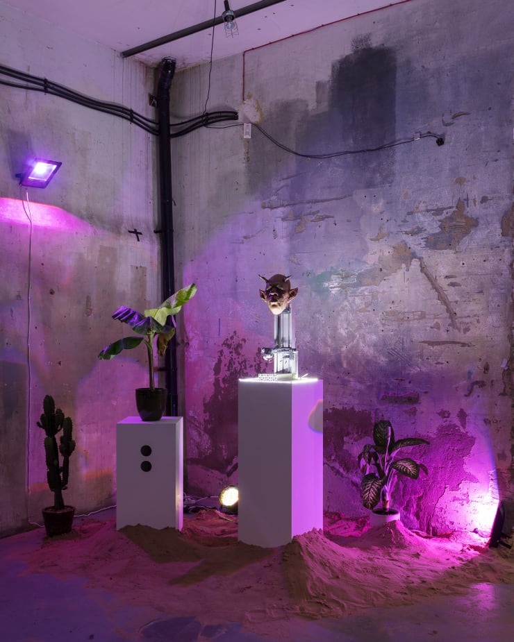Ting Tong Chang North Indies - Pilot Installation View at Apiary Studios, London Courtesy of the Artist and Christine Park Gallery © Ting Tong Chang