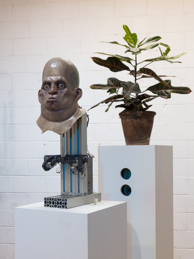 Ting Tong Chang North Indies - Pilot Installation View at Apiary Studios, London Courtesy of the Artist and Christine Park Gallery © Ting Tong Chang