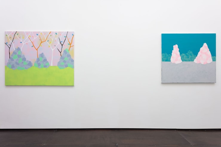 Cara Nahaul Crossing The Tropics, 2015 Installation View at Christine Park Gallery Courtesy of the Artist and Christine Park Gallery © Cara Nahaul