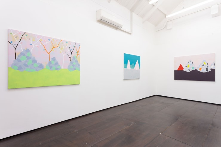 Cara Nahaul Crossing The Tropics, 2015 Installation View at Christine Park Gallery Courtesy of the Artist and Christine Park Gallery © Cara Nahaul