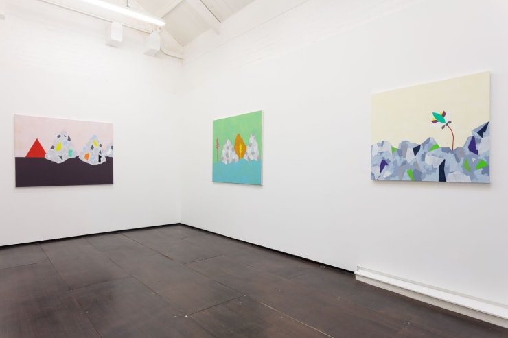 Cara Nahaul Crossing The Tropics, 2015 Installation View at Christine Park Gallery Courtesy of the Artist and Christine Park Gallery © Cara Nahaul