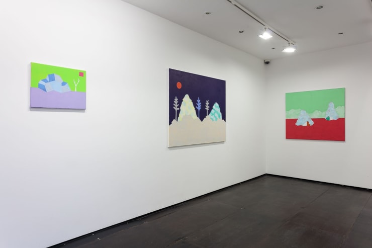Cara Nahaul Crossing The Tropics, 2015 Installation View at Christine Park Gallery Courtesy of the Artist and Christine Park Gallery © Cara Nahaul