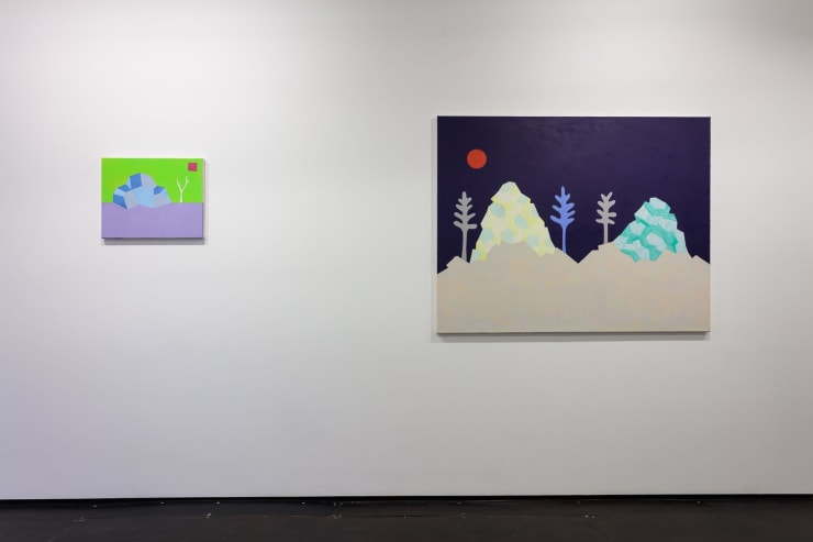 Cara Nahaul Crossing The Tropics, 2015 Installation View at Christine Park Gallery Courtesy of the Artist and Christine Park Gallery © Cara Nahaul