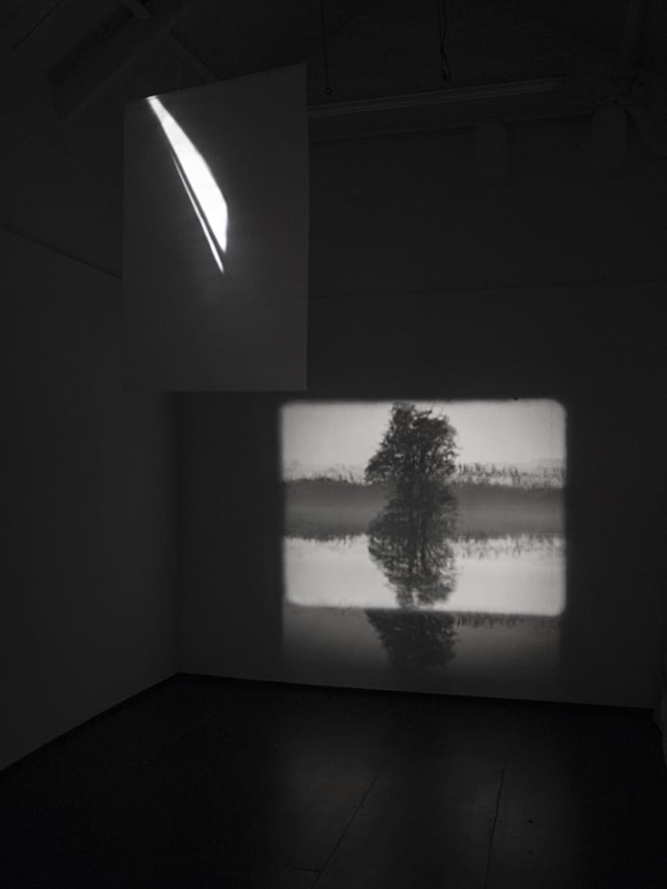 Guy Sherwin Tree Reflection #4, 2016 (1998) Installation for 16mm projector, glass, 3 minute film loop (GSN005)