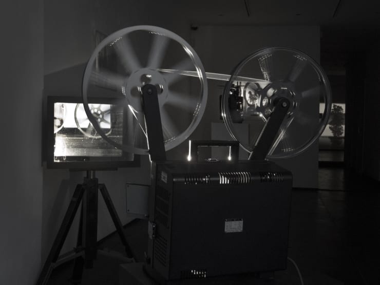 Guy Sherwin Light Cycles, 2016 Installation View at Christine Park Gallery, London Courtesy of the Artist and Christine Park Gallery © Guy Sherwin
