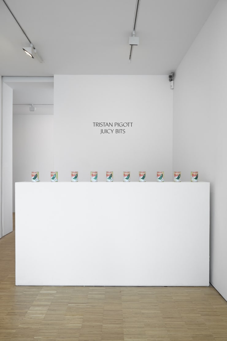 Tristan Pigott Cob Gallery 1