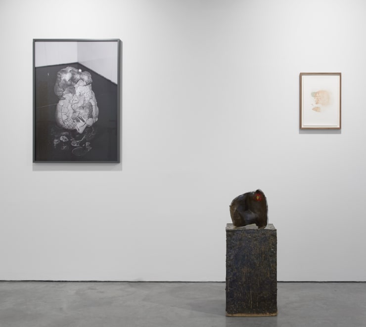 Form Installation View 10 Copy