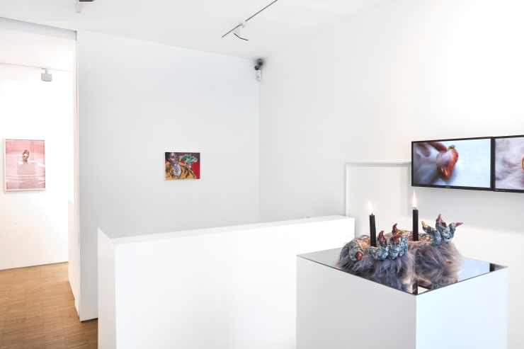 Cob Gallery 50