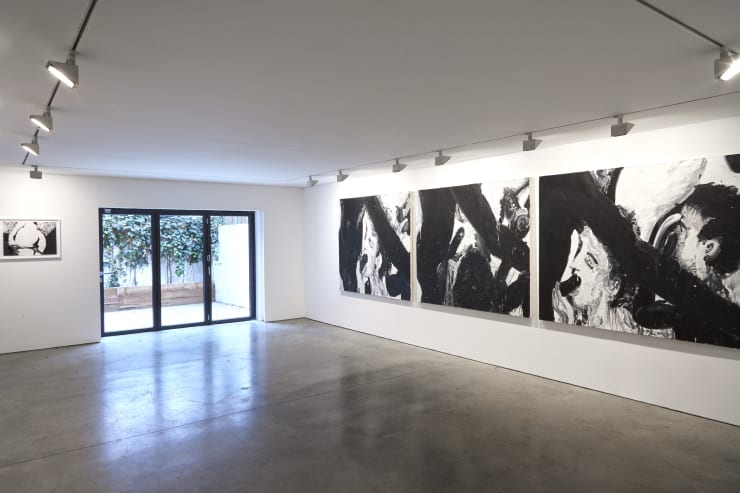 Cob Gallery 57