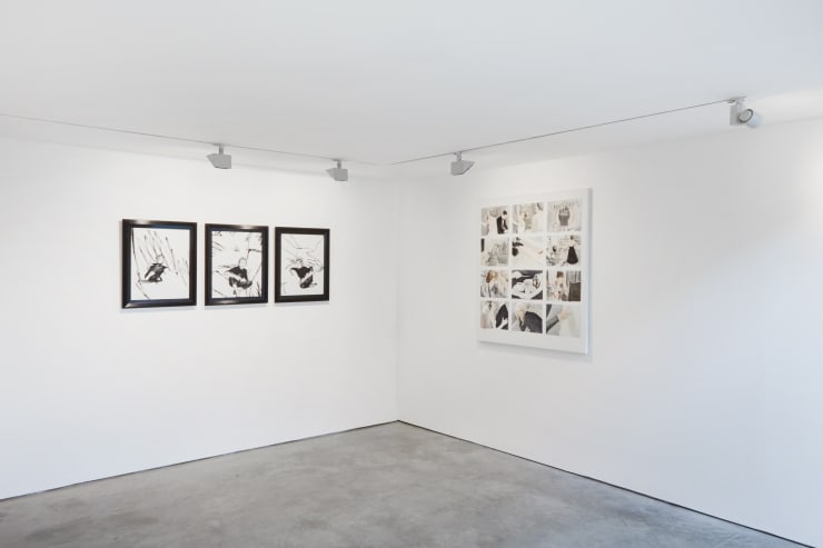 Cob Gallery 68
