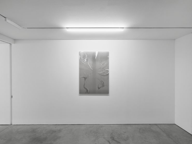 Elli Antoniou Passages Through The Caustics 2024 Installation View The Artist Courtesy Of Cob Gallery 24