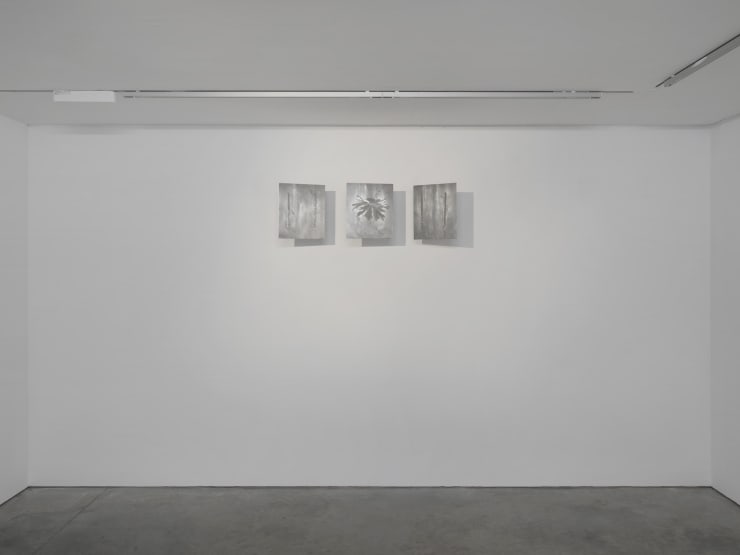 Elli Antoniou Passages Through The Caustics 2024 Installation View The Artist Courtesy Of Cob Gallery 28