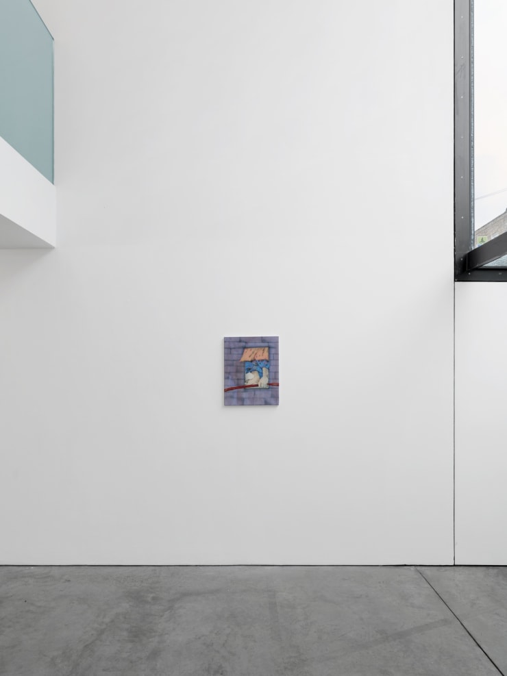 Fabian Treiber Bruised 2024 Installation View 01 The Artist Courtesy Of Cob Gallery