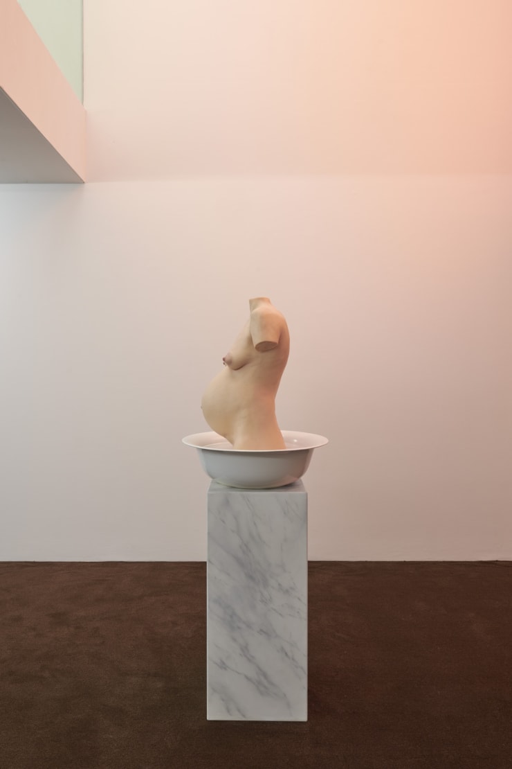 Scarlett Carlos Clarke Installation 18 2000Px