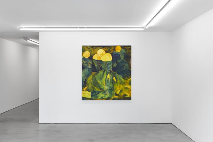 Tahnee Lonsdale Under The Shell 3 2000Px