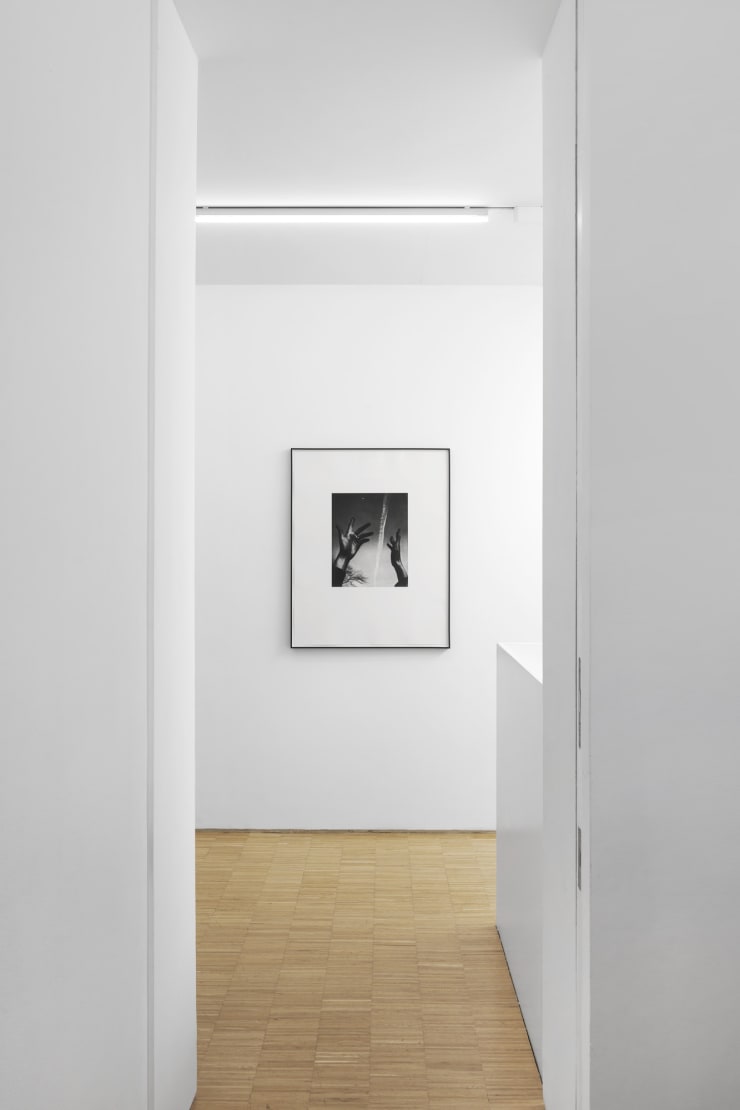 Jack Davison Installation 16 2000Px