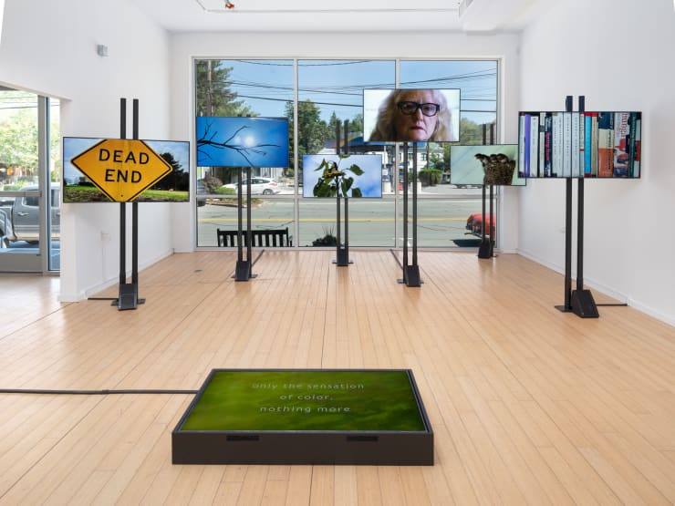 20240628 Cas Mary Lucier A