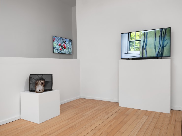 20240628 Cas Mary Lucier F