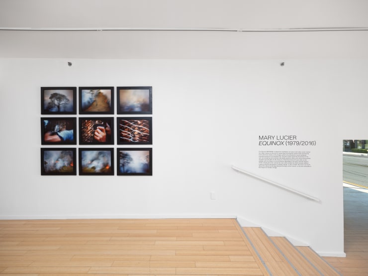 20240628 Cas Mary Lucier P