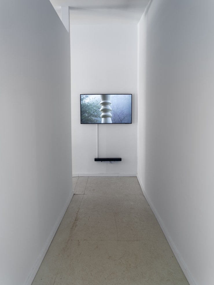 20240628 Cas Mary Lucier S