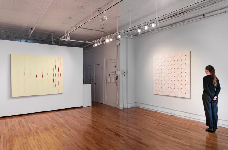 Installation View 8 Audra Skuodas Vibrational Vulnerability Cristin Tierney Gallery 2024 Adam Reich